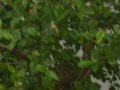 IMGP3569.JPG